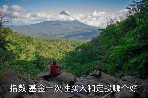 指數(shù) 基金一次性買(mǎi)入和定投哪個(gè)好