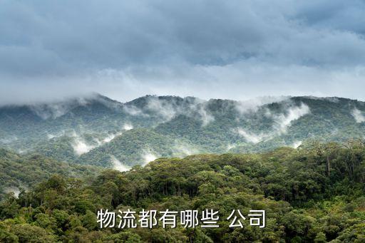 珠海中外運(yùn)報關(guān)公司,中外運(yùn)報關(guān)資料怎么上傳