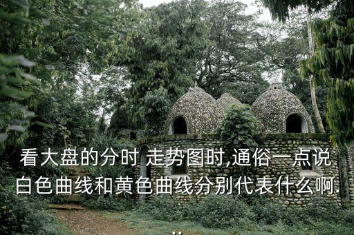 看大盤的分時(shí) 走勢圖時(shí),通俗一點(diǎn)說白色曲線和黃色曲線分別代表什么啊...
