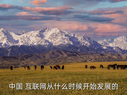互聯(lián)網走出中國