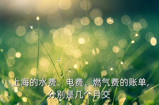  上海的水費、電費、燃氣費的賬單,分別是幾個月交