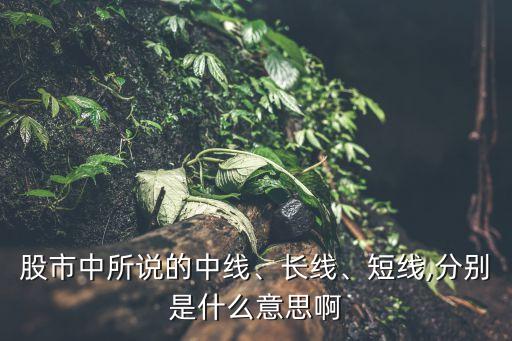 股市中所說的中線、長線、短線,分別是什么意思啊