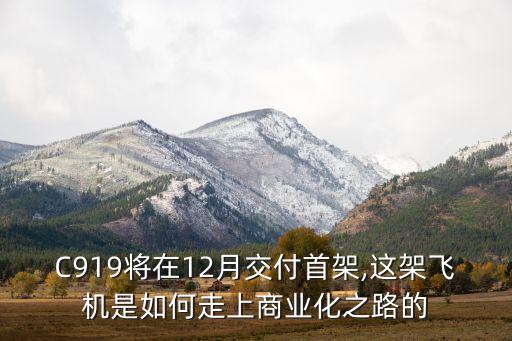 國際航空公司利潤結(jié)構變化