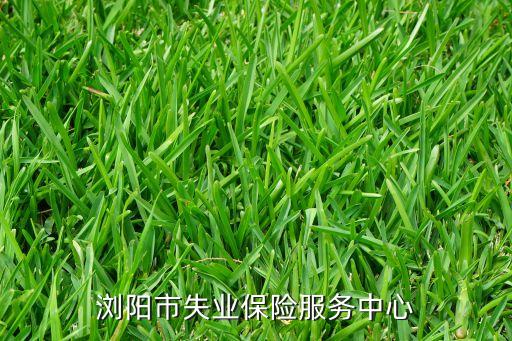 瀏陽市失業(yè)保險(xiǎn)服務(wù)中心