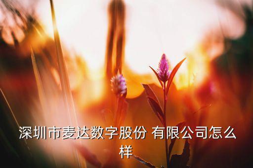 深圳東紅開(kāi)發(fā)磁盤有限公司