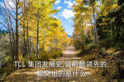 TCL 集團發(fā)展史,目前最領先的,最突出的是什么