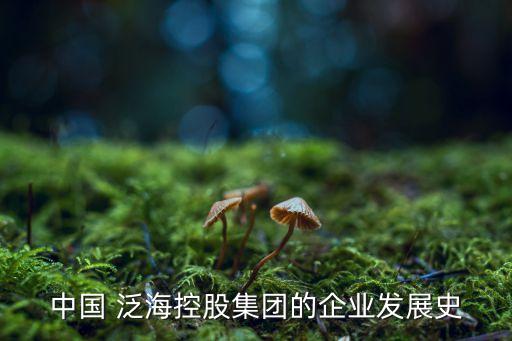 中國 泛?？毓杉瘓F的企業(yè)發(fā)展史