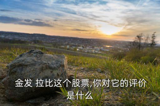  金發(fā) 拉比這個(gè)股票,你對(duì)它的評(píng)價(jià)是什么