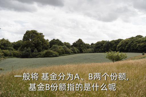 一般將 基金分為A、B兩個份額, 基金B(yǎng)份額指的是什么呢