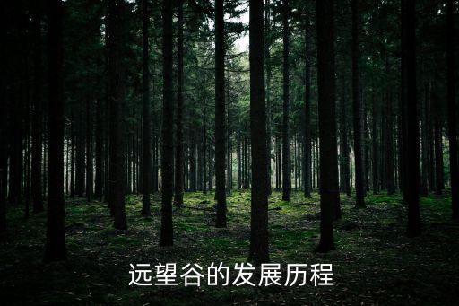  遠(yuǎn)望谷的發(fā)展歷程