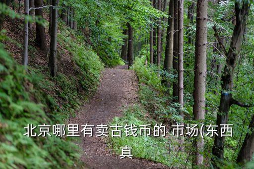北京報(bào)國寺古玩市場(chǎng)地址,報(bào)國寺古玩市場(chǎng)營業(yè)時(shí)間