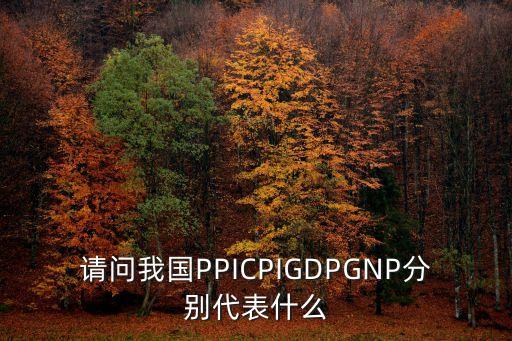 請(qǐng)問(wèn)我國(guó)PPICPIGDPGNP分別代表什么
