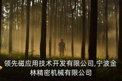 寧波領(lǐng)先磁應(yīng)用技術(shù)開(kāi)發(fā)有限公司,寧波金林精密機(jī)械有限公司