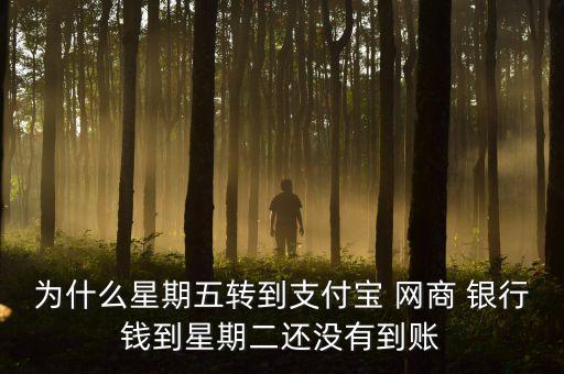 為什么星期五轉(zhuǎn)到支付寶 網(wǎng)商 銀行錢到星期二還沒(méi)有到賬