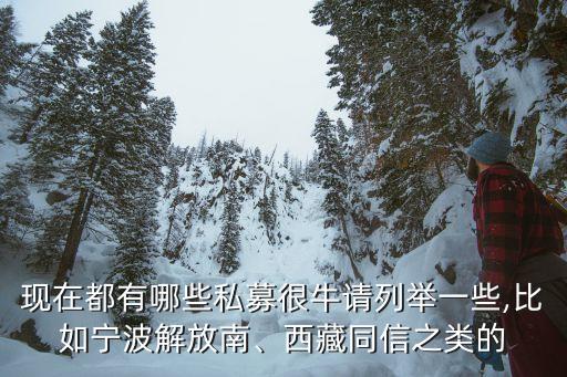 現(xiàn)在都有哪些私募很牛請(qǐng)列舉一些,比如寧波解放南、西藏同信之類(lèi)的