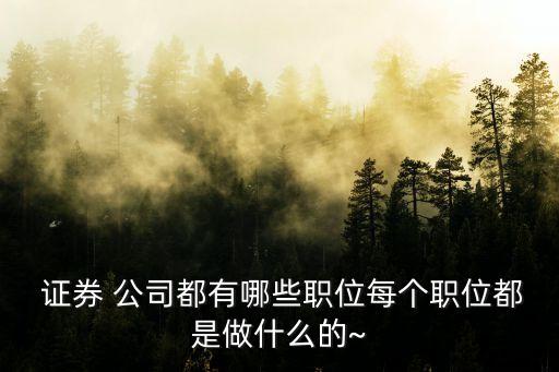 證券公司做業(yè)務助理