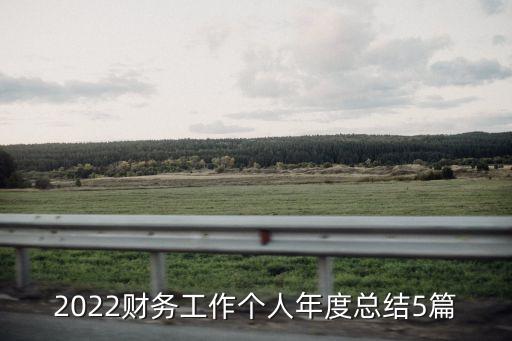 2022財務工作個人年度總結(jié)5篇