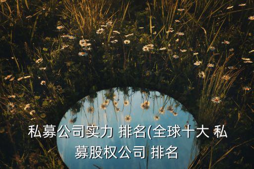  私募公司實力 排名(全球十大 私募股權(quán)公司 排名