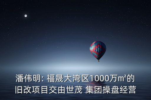 潘偉明: 福晟大灣區(qū)1000萬(wàn)㎡的舊改項(xiàng)目交由世茂 集團(tuán)操盤經(jīng)營(yíng)