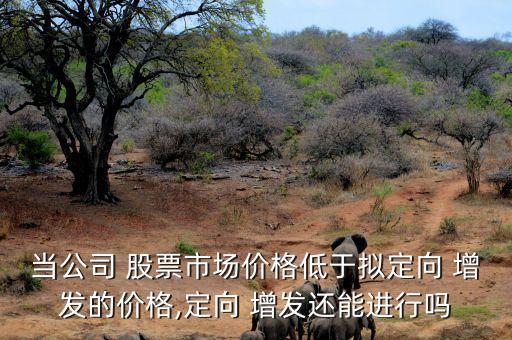 當(dāng)公司 股票市場價(jià)格低于擬定向 增發(fā)的價(jià)格,定向 增發(fā)還能進(jìn)行嗎