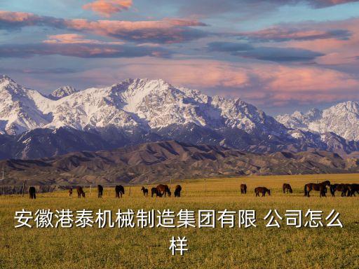 安徽港泰機械制造集團有限 公司怎么樣