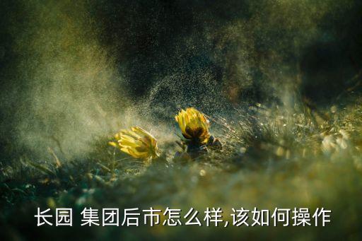 長園集團舉牌價格,格力為什么要舉牌長園集團