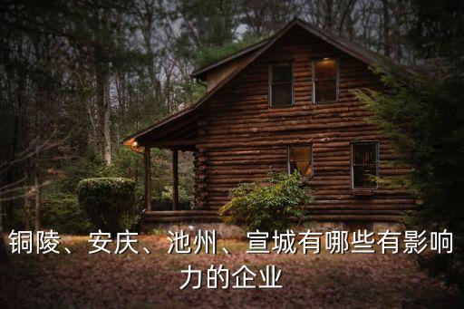 銅陵、安慶、池州、宣城有哪些有影響力的企業(yè)