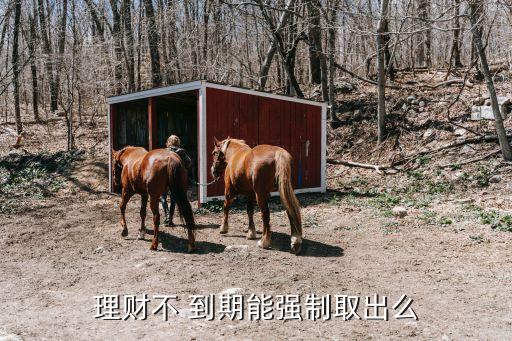 理財不 到期能強(qiáng)制取出么