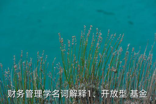 財(cái)務(wù)管理學(xué)名詞解釋1、開放型 基金