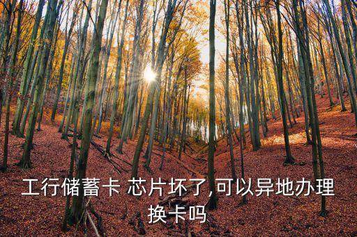 工行儲(chǔ)蓄卡 芯片壞了,可以異地辦理換卡嗎