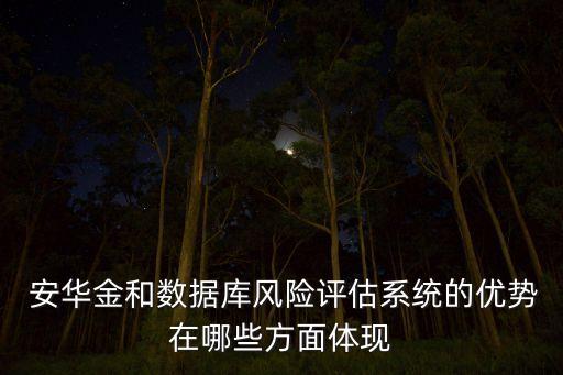  安華金和數(shù)據(jù)庫風(fēng)險評估系統(tǒng)的優(yōu)勢在哪些方面體現(xiàn)
