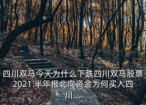 四川雙馬今天為什么下跌四川雙馬股票2021 半年報(bào)北向資金為何買(mǎi)入四川...