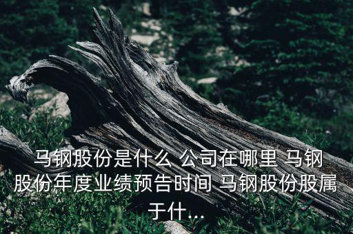  馬鋼股份是什么 公司在哪里 馬鋼股份年度業(yè)績預告時間 馬鋼股份股屬于什...