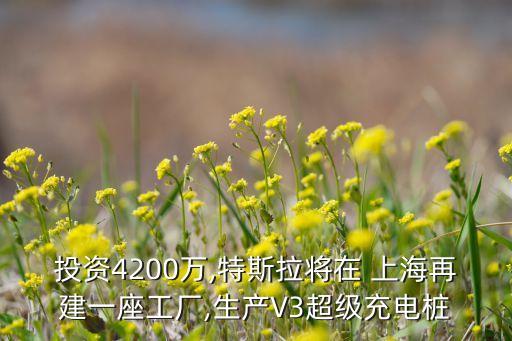 投資4200萬,特斯拉將在 上海再建一座工廠,生產(chǎn)V3超級(jí)充電樁