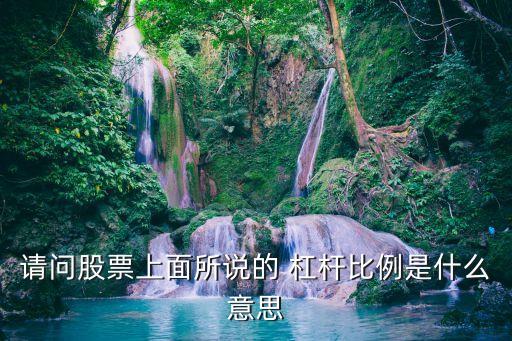 請(qǐng)問股票上面所說的 杠桿比例是什么意思
