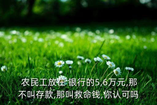  農(nóng)民工放在 銀行的5,6萬(wàn)元,那不叫存款,那叫救命錢(qián),你認(rèn)可嗎