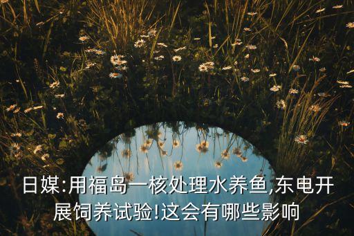 日媒:用福島一核處理水養(yǎng)魚(yú),東電開(kāi)展飼養(yǎng)試驗(yàn)!這會(huì)有哪些影響