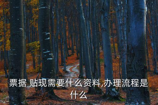 票據 貼現(xiàn)需要什么資料,辦理流程是什么