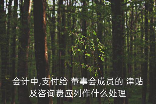 會(huì)計(jì)中,支付給 董事會(huì)成員的 津貼及咨詢(xún)費(fèi)應(yīng)列作什么處理