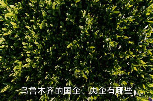 烏魯木齊的國企、央企有哪些