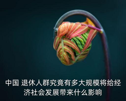 中國 退休人群究竟有多大規(guī)模將給經(jīng)濟(jì)社會(huì)發(fā)展帶來什么影響