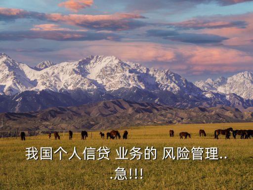 我國個人信貸 業(yè)務(wù)的 風(fēng)險管理...急!!!