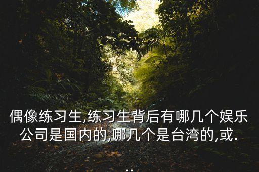 偶像練習生,練習生背后有哪幾個娛樂公司是國內的,哪幾個是臺灣的,或...