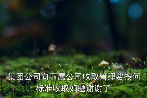 集團(tuán)費(fèi)用分?jǐn)?集團(tuán)研發(fā)費(fèi)用分?jǐn)?/></a></span><span id=