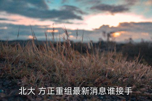 方正集團(tuán)出事,新方正集團(tuán)最新消息