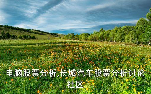 長(zhǎng)城電腦股票分析,長(zhǎng)城汽車股票分析討論社區(qū)