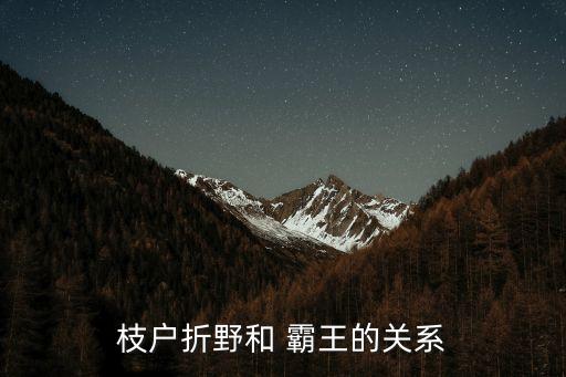 枝戶折野和 霸王的關系