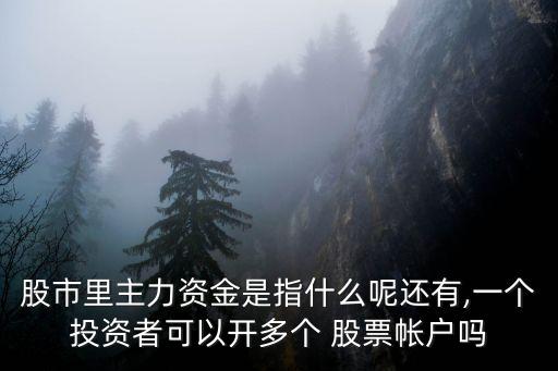 股市里主力資金是指什么呢還有,一個(gè)投資者可以開(kāi)多個(gè) 股票帳戶嗎