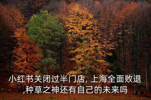 小紅書關閉過半門店, 上海全面敗退,種草之神還有自己的未來嗎