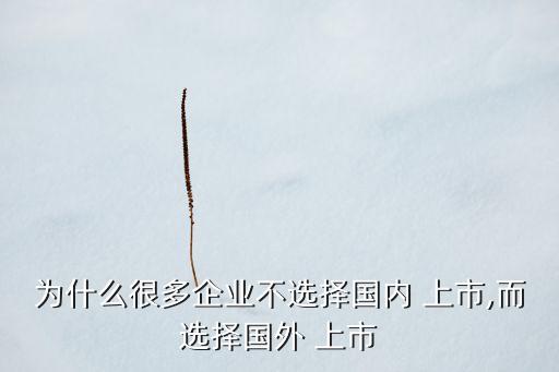 為什么很多企業(yè)不選擇國內 上市,而選擇國外 上市